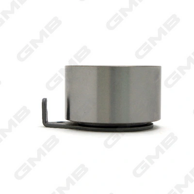 GT60160 GMB Rodillo de cadena