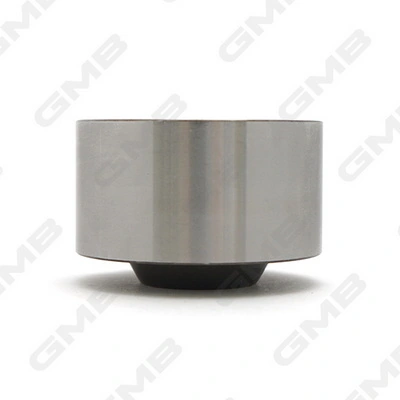 GT10050 GMB Polea tensora intermedio de correa dentada