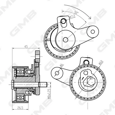 Comprar Tensor correa distribución Captiva I C100