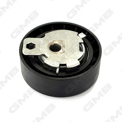  Tensor correa distribución Ford Connect 