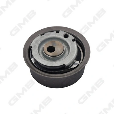 Tensor de la correa de distribución Hyundai I10 