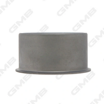 GT80800 GMB Rodillo de cadena