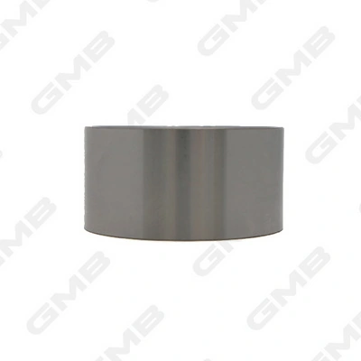 GT60520 GMB Polea tensora intermedio de correa dentada