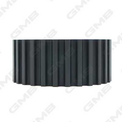 GT80720 GMB Polea tensora intermedio de correa dentada