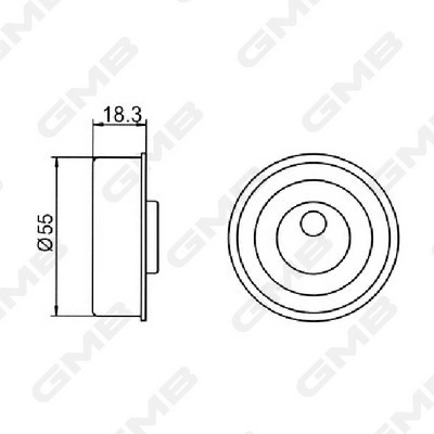 Polea tensora de la correa de equilibrado GT10072 GMB