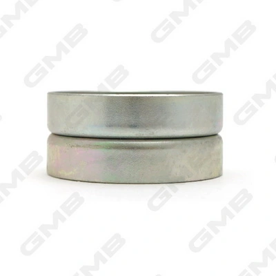 GT80330 GMB Polea tensora intermedio de correa dentada