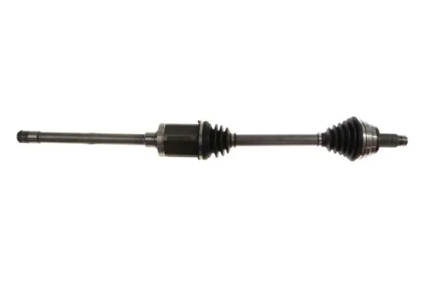 PNG74810 A.m. Gears