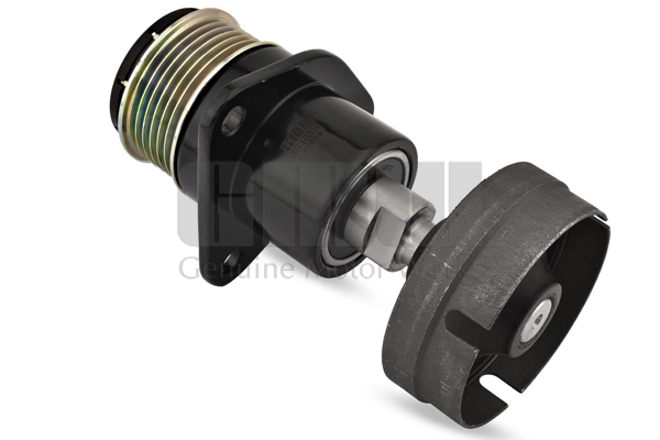 Polea de alternador Ford Connect 
