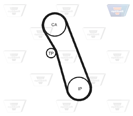 Correa dentada para Ford Escort '81 EXPRESS AVA