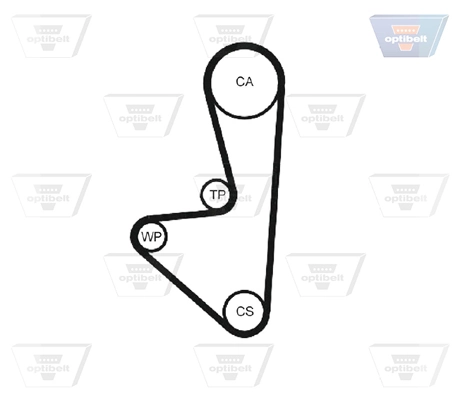 Correa distribucion Citroen C3 2 A51