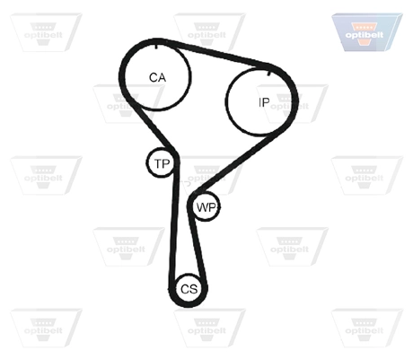 Correa distribucion Nissan Qashqai 1 J10