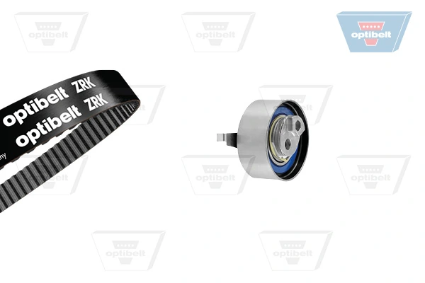Kit de distribución para Audi A8 4E2, 4E8