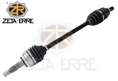 ZR12178 ZetA-Erre