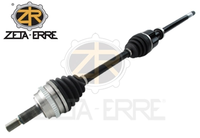 ZR12137 ZetA-Erre