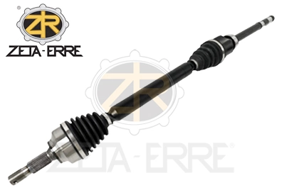 ZR11125 ZetA-Erre