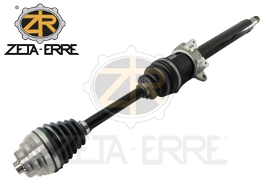 ZR11278 ZetA-Erre