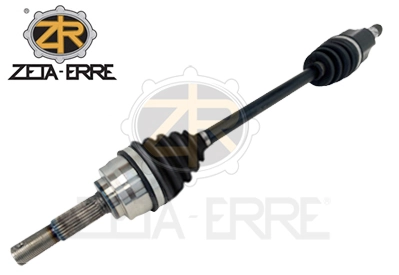 ZR11749 ZetA-Erre