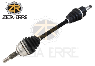 ZR11174 ZetA-Erre