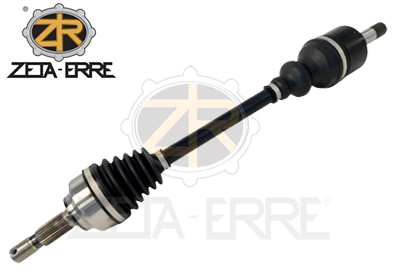 ZR12036 ZetA-Erre