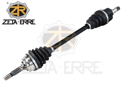 ZR11081 ZetA-Erre
