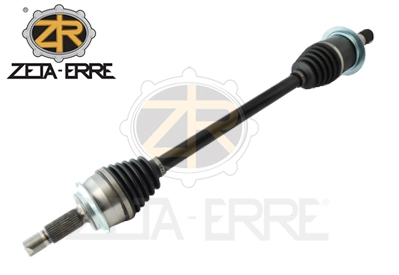 ZR11636 ZetA-Erre