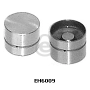 EH6009 Eurocams