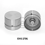 EH1256 Eurocams