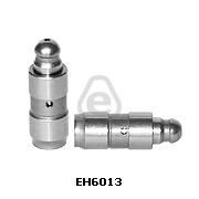 EH6013 Eurocams