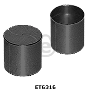 ET6316 Eurocams