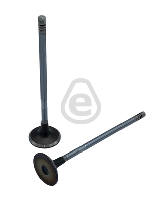 EVI302 Eurocams