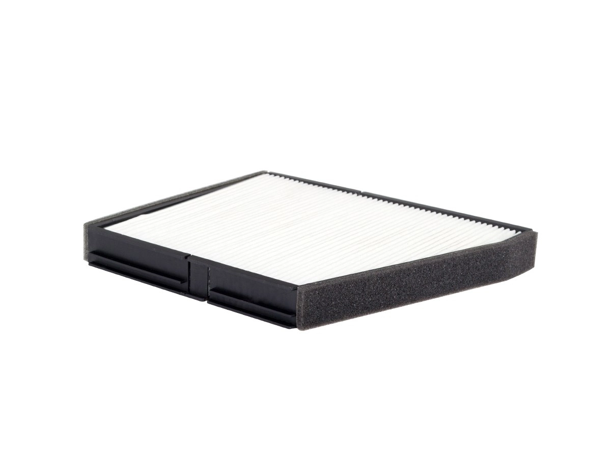 FC1101 AMP/Paradowscy Filtro antipolen