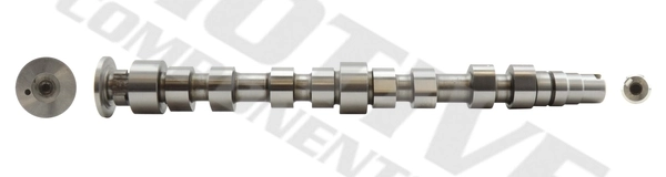 T2176 Motive