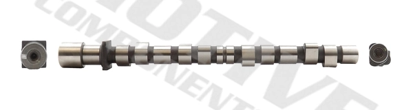 T8061 Motive