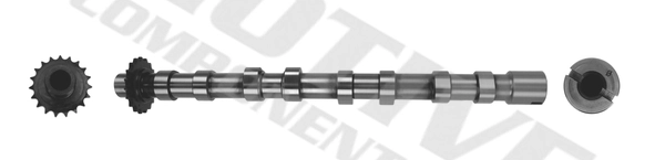 T4001 Motive