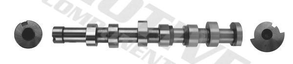 T2186 Motive