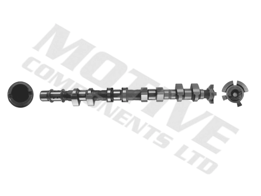 T4016 Motive