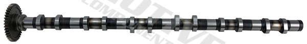 Árboles de levas BMW X5 SUV (E70) (2007 - 2013) precio, desde 279,27 EUR