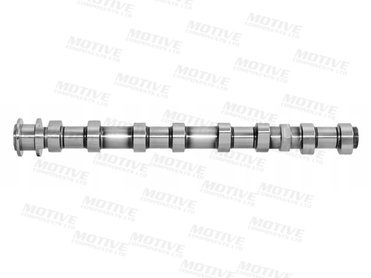 T4439 Motive