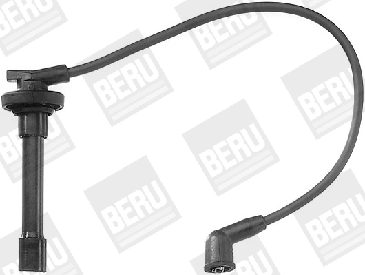ZEF839 Beru