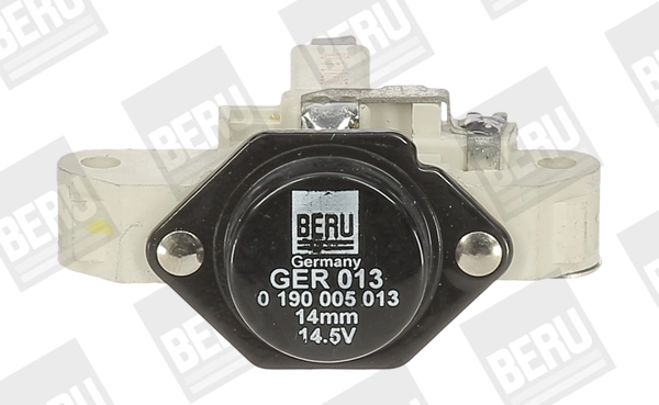 GER013 Beru