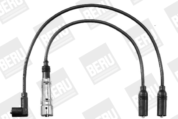 ZEF1557 Beru