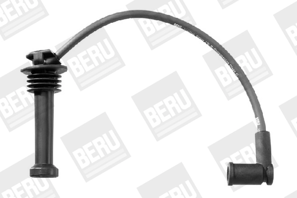 ZEF1549 Beru
