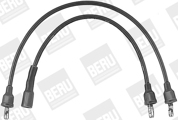 ZEF571 Beru