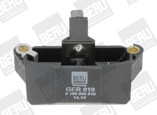 GER019 Beru