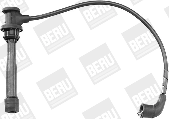 ZEF1272 Beru