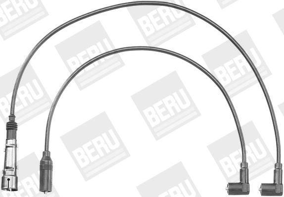 ZEF1150 Beru