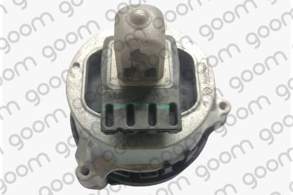 EM2211 Goom