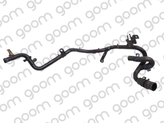 CT0147 Goom