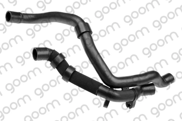 RH2000 Goom