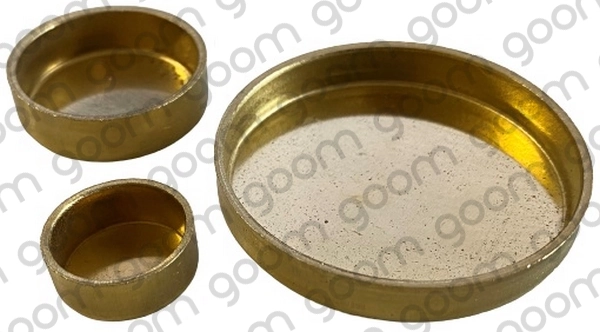 FP0017 Goom